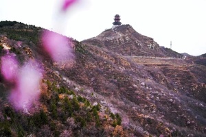 公司团建| 访古踏青赏花  八奇洞  桑峪 广慧寺 定都阁 谭拓寺 12KM徒步