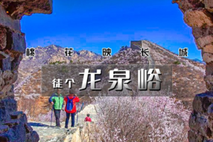 公司团建 一日 龙泉峪｜桃花映长城の龙泉峪长城徒步穿越10KM