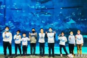 【夜宿北京海洋馆】12.21海底露营，寻找属于你的海底奇缘