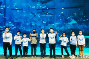 【夜宿北京海洋馆】10.31/11.7/21/28海底露营，寻找属于你的海底奇缘（全年多期/可定制）