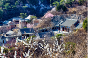 公司团建 | 【踏青、赏花遇见“桃花源”】延寿寺—黄花残长城一日穿越