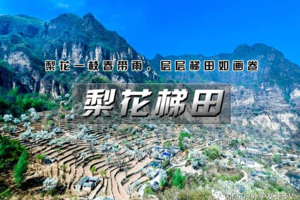 公司团建 梨花梯田｜世外桃源茅舍疏篱の谷雨时节赏大山深处梨花村-徒步环穿12公里桃花源