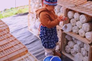 蘑菇研究院丨亲子游 6.1/9/15/23/29博物大百科，宝藏基地摘蘑菇回家烹饪做美食（多期）