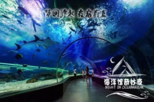 夜宿海底世界【海底小纵队】10.2/3/4海洋馆奇妙夜·鱼我共眠（多期-仅限单飞）