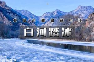 北京户外徒步 1日•白河踏冰｜踏冰而行の北京最美冰河徒步-“北京雅鲁藏布江”休闲徒步一日