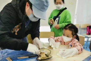 9.14/20/10.3/6珍珠开蚌《蚌壳里的宝石》亲子上午国家动物博物馆-蚌壳开盲盒，双壳纲动物科普制作