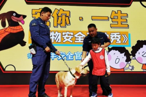 志愿北京2工时《宠物伤害预防》6.22/23下午场亲子丨与工作犬亲密互动