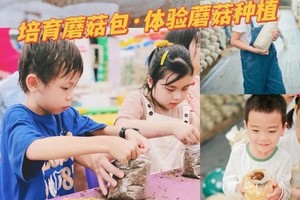 公益时长2小时 昌平菇勇者12.20/21/27/28蘑菇科普 领养蘑菇菌棒 喂小动物赏多肉