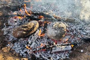 周末亲子一日营【乡野乐趣】4.27顺义攀树，烤红薯，制作冰糖葫芦