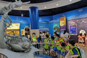 志愿北京西城2工时【自然博物馆A】3.16/31在科学的海洋里 地球的霸主和人类的朋友、单飞日营（多期）