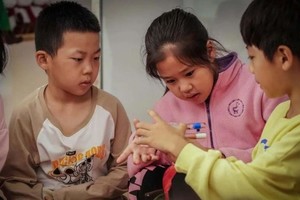 蚂蚁王国A｜虫虫特工队3.9/23亲子下午和专业的蚂蚁饲养员一起“玩”转蚂蚁（多期-3.17上午）