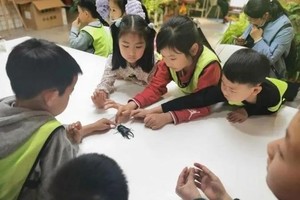 甲虫奇遇记B|虫虫特工队（3.24/30下午）饲养甲虫幼虫，制作甲虫标本带回家（亲子）