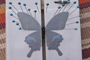 饲养蝴蝶C| 虫虫特工队3.10/16/24/30亲子上午，科学探索之大自然的多彩舞者，制作独一无二的蝴蝶标本