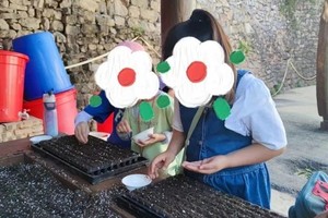 志愿北京2时长【海淀植树99】3.30/31/4.6亲子春日植树、土壤实验、树木保育、育苗行动、颁发证书