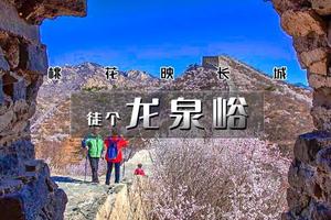 1日｜龙泉峪长城 •大庄科-大云峡谷-香屯の长城上赏桃花更有韵味（初级）