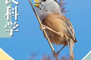 志愿北京2h奥森观鸟｜4.21助力城市生物多样性保护活动：一起去奥森观鸟（亲子-上/午可选）