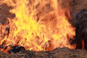 【不败的野炊2|单飞】5.2/4土灶烤玉米+挖制土灶+易拉罐煎蛋+户外爆米花...（多期）