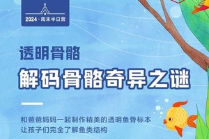 透明骨骼|4.13/21/27半日亲子，解码骨骼奇异之谜