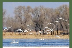 【京童寻源】6.1/9/22/30探究官厅水库的秘密，学习水力发电原理，认识生物多样性