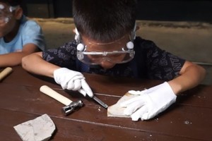 儿童节特辑周末2日丨化石馆奇妙夜6.1-2探秘古生物化石馆，徒步登山洞穴，发证书（单飞/也可亲子）