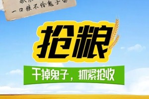 公益时长6h【抢粮入库】6.30地形侦查｜排除障碍｜匍匐尖兵｜一箭穿杨｜炸掉炮楼