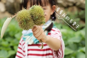 采摘板栗|中秋亲子9.15/16/17山间摘板栗+制作冰皮月饼+童年搅搅糖+非遗漆扇+福禄寿山泉水