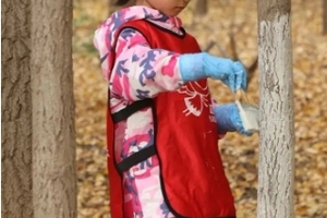 志愿时长2h【给大树添新衣】99/儿童走进京西稻种植保护区，开启冬季树木养护小课堂，稻田拾谷行动