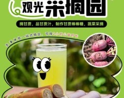 公益时长2h| 大兴甘蔗观光采摘园|12.7/8/14/15/21/22/摘甘蔗品甘蔗汁，制作甘蔗棒棒糖，蔬菜采摘