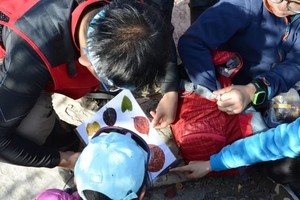 志愿北京3小时《山野巡护者》11.23/24/30亲子citywall徒步京西驼铃古道，徒步挑战