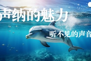 （海下潜艇奥秘：声呐技术）1.11/2.6/26中科趣味研学~了解声呐，揭秘海洋生物、潜艇在水下的奥秘