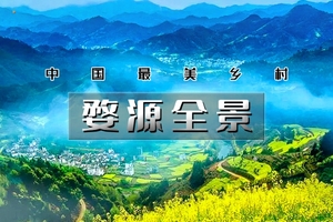 周末2日｜婺源全景｜中国最美乡村の赏江岭梯田油菜花-品徽州古村浓郁文化