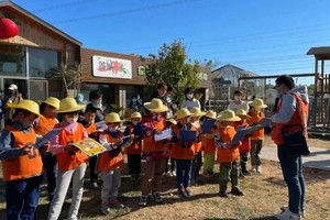 莓好春光趣种树 每周六/周日｜春日植树、摘草莓、做草莓蛋糕、绘草帽、积累2小时公益时长（昌平q）