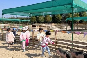 【房山植树】3.8/9/15/16/22/23亲子植树T赶小猪，喂鸡捡鸡蛋，鸟食器DIY，志愿北京2h