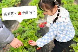 志愿北京2h【大兴植树C】3.8/9/15/16/22/23/29喂小动物|亲子植树，采摘草莓蔬菜，户外游乐场 