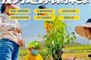 朝阳植树【我为地球充植】3.16/22/23/29/30种下樱桃树，土壤实验，摔泥巴比赛、泥巴烤鸡蛋、制作地球种子