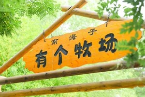 志愿北京4h【大兴植树一日】3.8/9/15/16/22/23投壶竞技DIY绘制杯垫、射箭比赛钻木取火、趣味拓展萌宠乐园