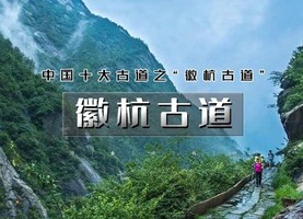 端午3日｜6.19-20徽杭古道｜西天目山大树王国の浙江版熊野千年古道-浮憩谷-绩溪龙川