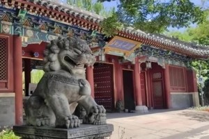 北京大学半日研学 | 五一假日天天发（单飞/亲子均可）