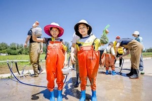 志愿北京2h【三元小农夫】做角蛙生态缸6.21/22/28/29稻田农耕｜插秧.捉小龙虾.打糍粑