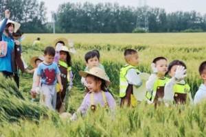 志愿北京2H【小麦的一生】每周六日 割麦子·麦子脱粒·石磨面粉·花馍馍DIY·蔬菜采摘