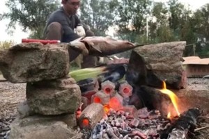 北京亲子 自然探索营｜5.18烤鱼野趣、开蚌寻珠、飞盘竞技，解锁春日奇趣