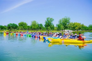 【免费出策划】承接公司团建！欢迎咨询！