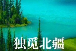 童话新疆【独觅北疆8日】S21+独库公路中北段+喀纳斯、禾木、赛湖(VIP景区直通车)、伊犁草原，那拉提