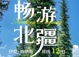 童话新疆【畅游北疆12日】伊犁+喀纳斯丨禾木村、赛里木湖（VIP景区直通车）喀拉峻草原、巴音布鲁克、沙漠