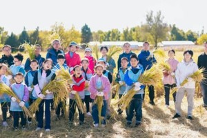 志愿北京2h【大地丰收季】10.2/3/4/5/6/7三元农场割稻/捉鸭/迷宫/秋收盲盒+证书+丰收礼包