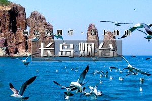 五一4天｜4.30/5.1晚 长岛烟台｜与海鸥同行の深度游长岛-蓬莱仙境-打卡网红养马岛-烟台渔人码头