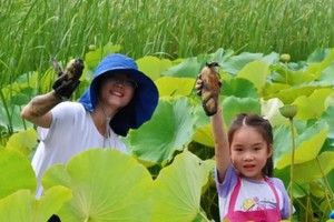 秋日限定【趣挖藕】10.2/3/4/5/6/7/8寻藕大作战，制作荷叶鸡腿， 泥鳅挑战赛，品尝荷叶鸡腿