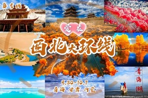 国庆7天《情定大西北》83-03单身专线【陆地头等舱】青海湖-茶卡-翡翠湖-敦煌-嘉峪关-张掖-额济纳胡杨林