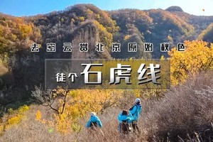 徒步团建—石虎线•世外桃源仙境｜黄岩口-石虎村-鸟语林一日登山徒步穿越 