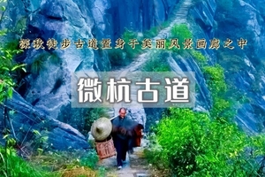 周末2日｜徽杭古道｜重走徽商之路-绩溪龙川-赏徽州秋色-落羽杉湿地